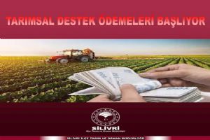 Destek ödemeleri