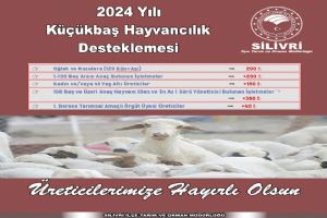 Küçükbaş Hayvancılık Desteklemeleri