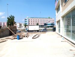 Fidan Gitti,Çalışmalar Hız Kesti