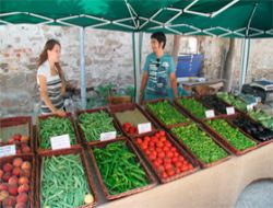 Silivri Organik Tarım Pazarı İle Tanıştı