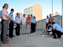 Emniyetin Yeni Araçları İçin Kurban Kesildi