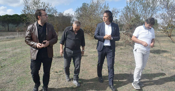 Silivri İlçe Tarım Müdüründen Seymen’deki Ceviz ve Badem Bahçelerine ziyaret