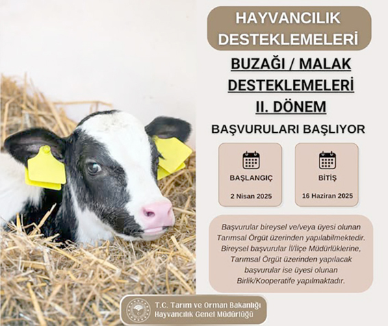 Silivri’de Hayvancılık Desteklemeleri başladı