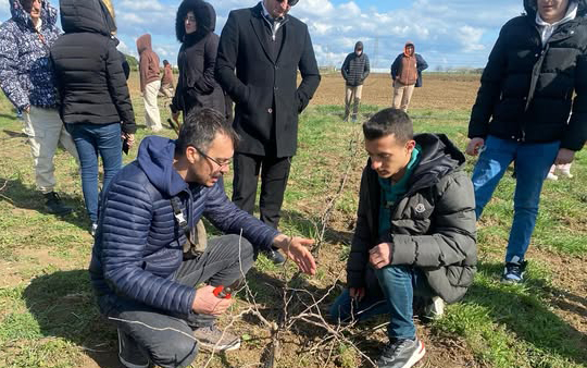 Silivri Belediyesi Bağcılık Eğitimine yoğun ilgi