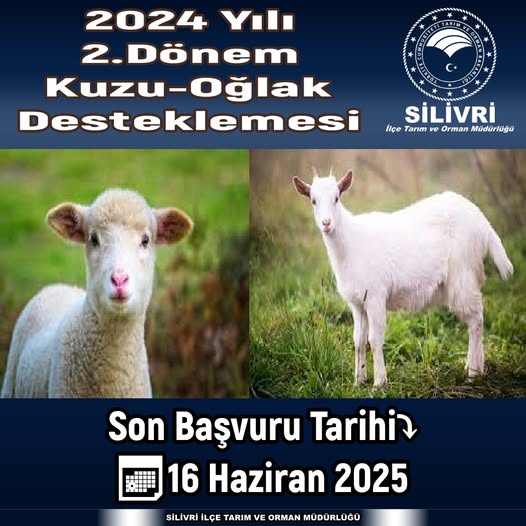 Silivri İlçe Tarım Müdürlüğü: Kuzu Ve Oğlak Desteklemesi başvuruları başladı