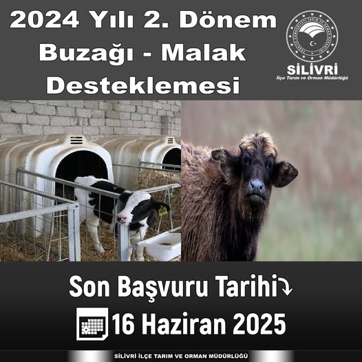 Silivri İlçe Tarım Müdürlüğü: Buzağı Ve Malak Desteklemesi başvuruları başladı