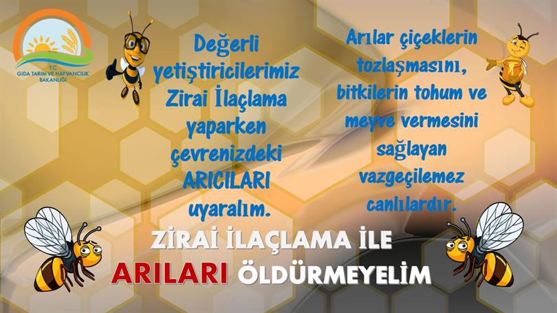 Arıcılardan çiftçilere Kanola ilaçlaması uyarısı