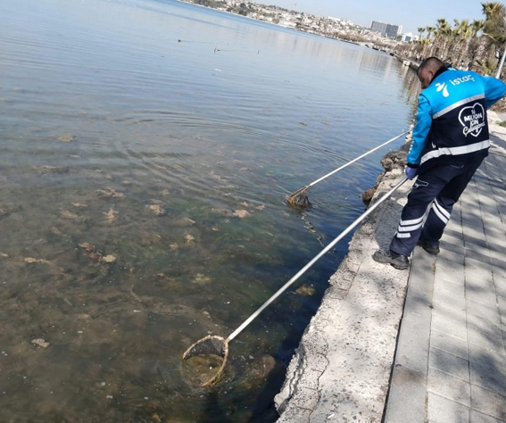 İSTAÇ Ve Silivri Belediyesi'nden ortak temizlik harekatı