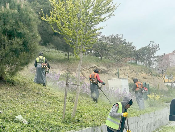 Silivri Belediyesi, park ve yeşil alan düzenlemelerine devam ediyor