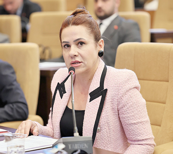 Silivri MHP Grup Sözcüsü Aşkın: Silivri’yi geleceğe değil, köprünün öbür tarafına taşırsınız