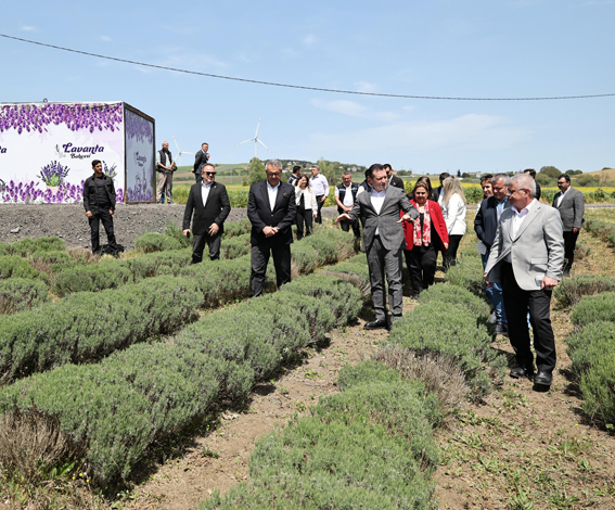 Silivri’de Lavanta tarlasını ziyaret ettiler