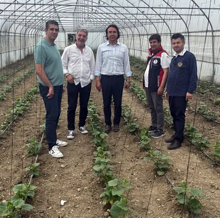 Silivri Kadıköy Mahallesi’nde Hidroponik Sera İşletmesine ziyaret