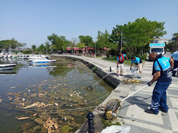 Silivri sahillerinde yaz temizliği başladı