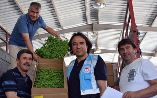 Silivri’de üreticilere Biber Fidesi dağıtıldı