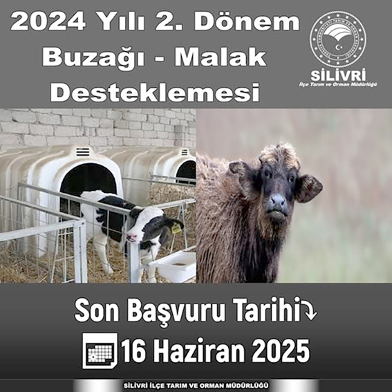 2024 Yılı 2. Dönem Buzağı / Malak Desteklemesi başvuruları başladı