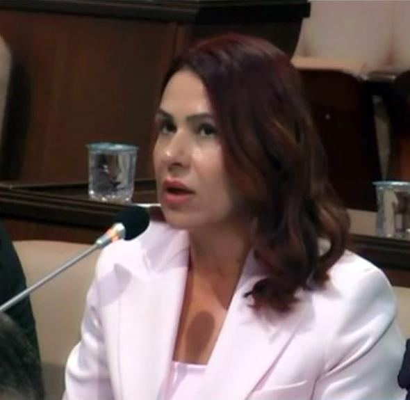 MHP’li Sultan Aşkın’dan İBB’ye deniz ulaşımı soruları