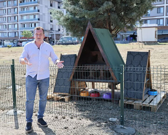 Silivri Belediyesi’nden Sokak Kedilerine yeni Kedi Evleri