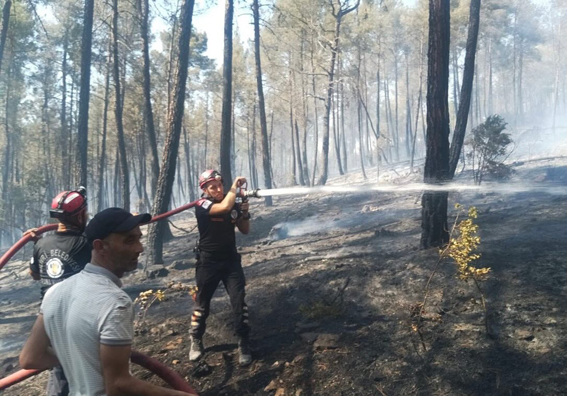 Silivri’den Bursa’daki orman yangınına destek