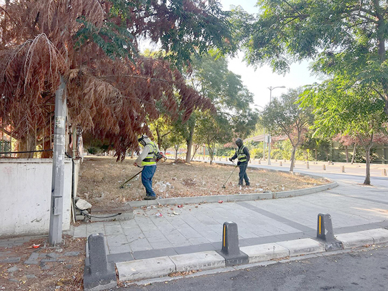 Silivri Belediyesi’nden ot biçme ve temizlik çalışmaları
