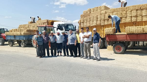 Silivri Belediyesi’nden Beyciler’de üreticiye saman desteği