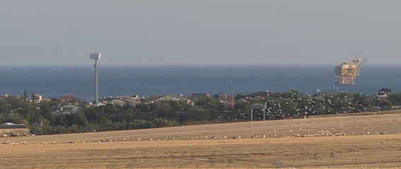Silivri, göçmen kuşlar için doğanın nefes alma vadisi