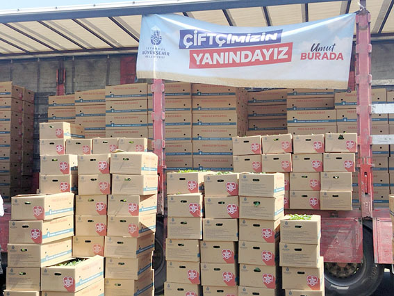 İBB’den Silivri’de çiftçiye kışlık fide desteği