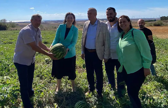 Silivri Kadıköy’de karpuz hasadına katıldılar