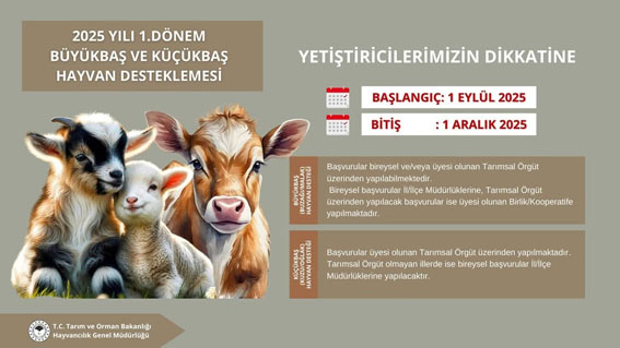 2025 Yılı 1. Dönem Büyükbaş ve Küçükbaş Hayvan Desteklemesi başvuruları başlıyor
