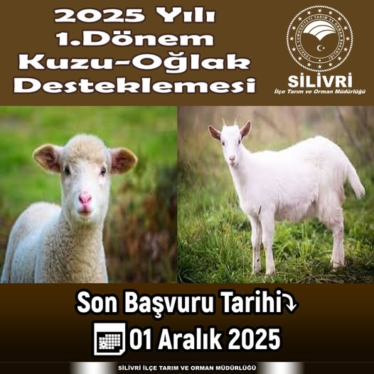 Kuzu ve Oğlak Desteklemesi Başvuruları 1 Aralık’ta sona eriyor