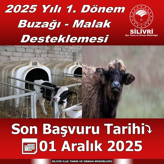 2025 Yılı 1. Dönem Buzağı Ve Malak Desteklemesi başladı
