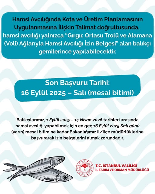 Hamsi avcılığı için son başvuru 16 Eylül’de sona eriyor