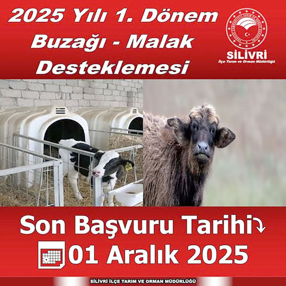 2025 Yılı 1. Dönem Buzağı Ve Malak Desteklemesi başladı