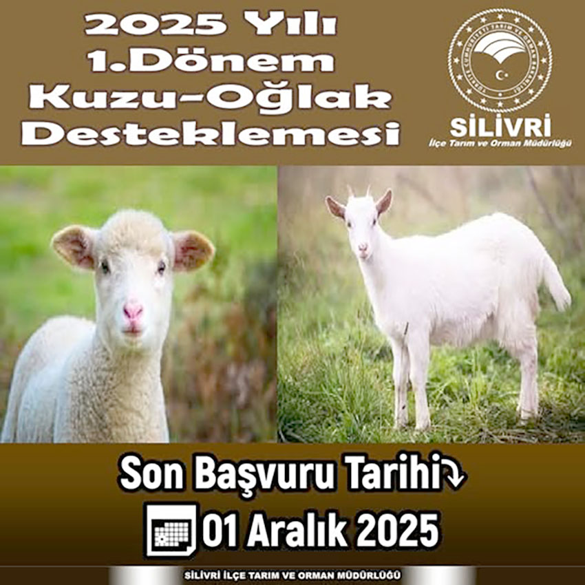 2025 Yılı 1. Dönem Kuzu-Oğlak Desteklemesi başvuruları başladı