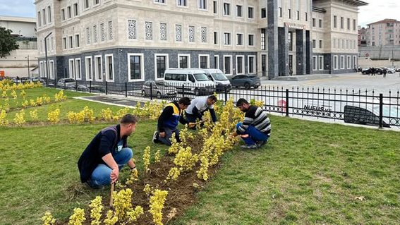 Silivri’de yeşil alan çalışmaları sürüyor