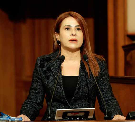 Silivri MHP'li meclis üyesi Sultan Aşkın: İstanbul’un deprem gerçeği ve mezarlık krizi göz ardı ediliyor