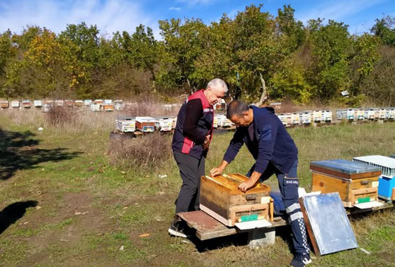 Silivri’de Arılı Kovan Tespitleri başladı