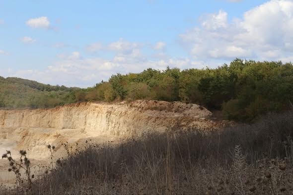Silivri Danamandıra’da ağaç kesimi yeniden başladı