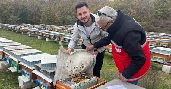 Arılı Kovan Tespitleri Silivri’de devam ediyor