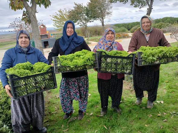 Silivri Belediyesi’nden tarımsal üretime destek: Hasat kamu yemekhanesinde değerlendiriliyor