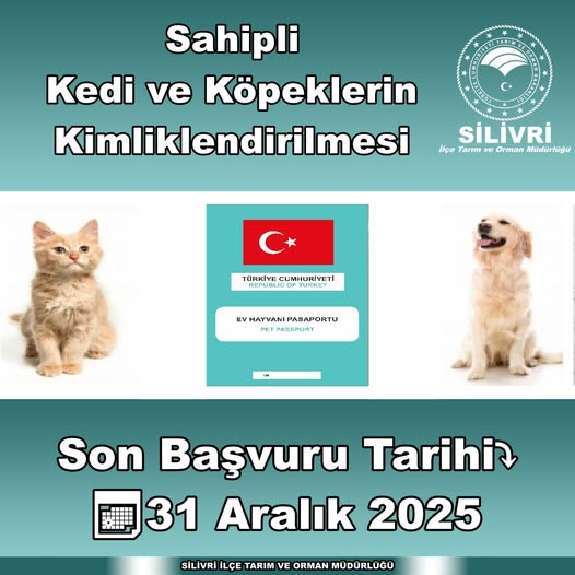 Silivri İlçe Tarım Müdürlüğü: Kedi ve köpeklerde mikroçip için son tarih: 31 Aralık 2025