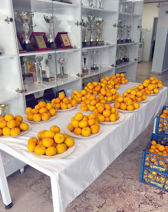 Silivri HASGAL'da “Eğitimin Meyveleri” Projesi motivasyonu artırıyor