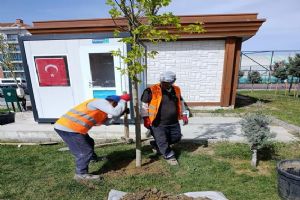 Silivri’de yeşil alanlarda bakım çalışmaları aralıksız sürüyor