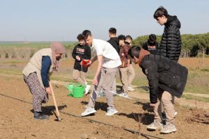 Silivri Tarım Lisesi Öğrencilerinden üzüm üretiminde örnek uygulama