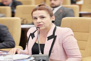 Silivri MHP Grup Sözcüsü Aşkın: Silivri’yi geleceğe değil, köprünün öbür tarafına taşırsınız