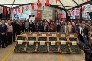 Silivri’de 1324 çiftçiye 614 bin fide dağıtıldı