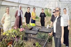 Silivri Halk Eğitimi Merkezi’nden seracılık eğitimine uygulamalı destek