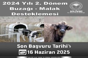 2024 Yılı 2. Dönem Buzağı / Malak Desteklemesi başvuruları başladı