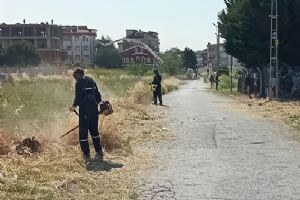 Selimpaşa'da Yoğurthane Mevkiinde ot biçme seferberliği