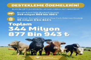 Tarımsal Destek Ödemeleri hesaplara yatırılıyor