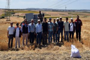 Silivri’de Buğday Ve Arpa Demonstrasyonu yapıldı